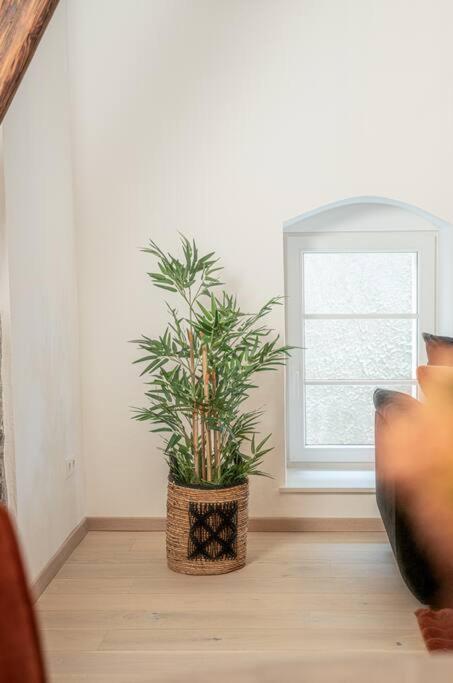 Gemuetliche Oase Im Denkmal Daire Bonnigheim Dış mekan fotoğraf